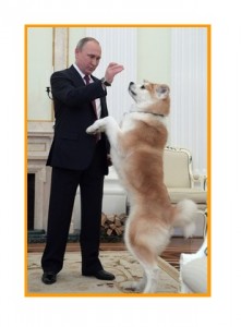 プーチン　秋田犬